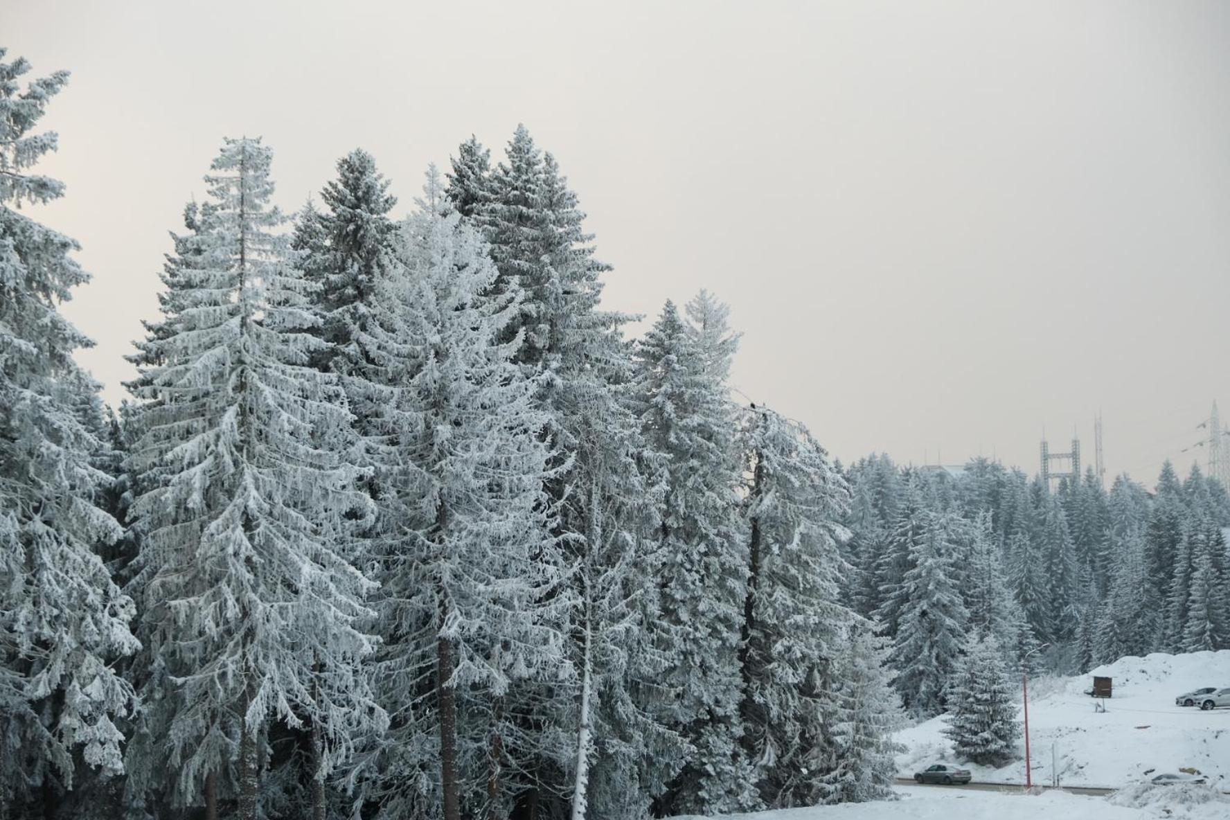 Apartments Pavle Kopaonik Exteriér fotografie